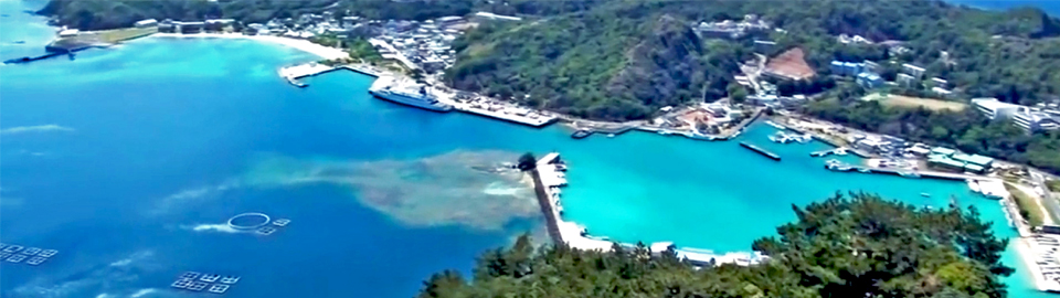 小笠原諸島の風景 映像「世界遺産 小笠原」より クリックすると動画が再生されます。